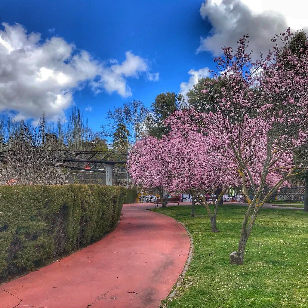 Parque de la Bombilla
