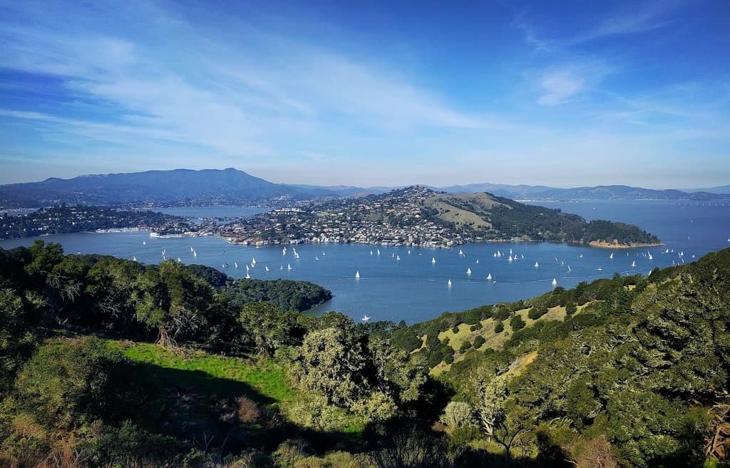Views from the top of Angel Island