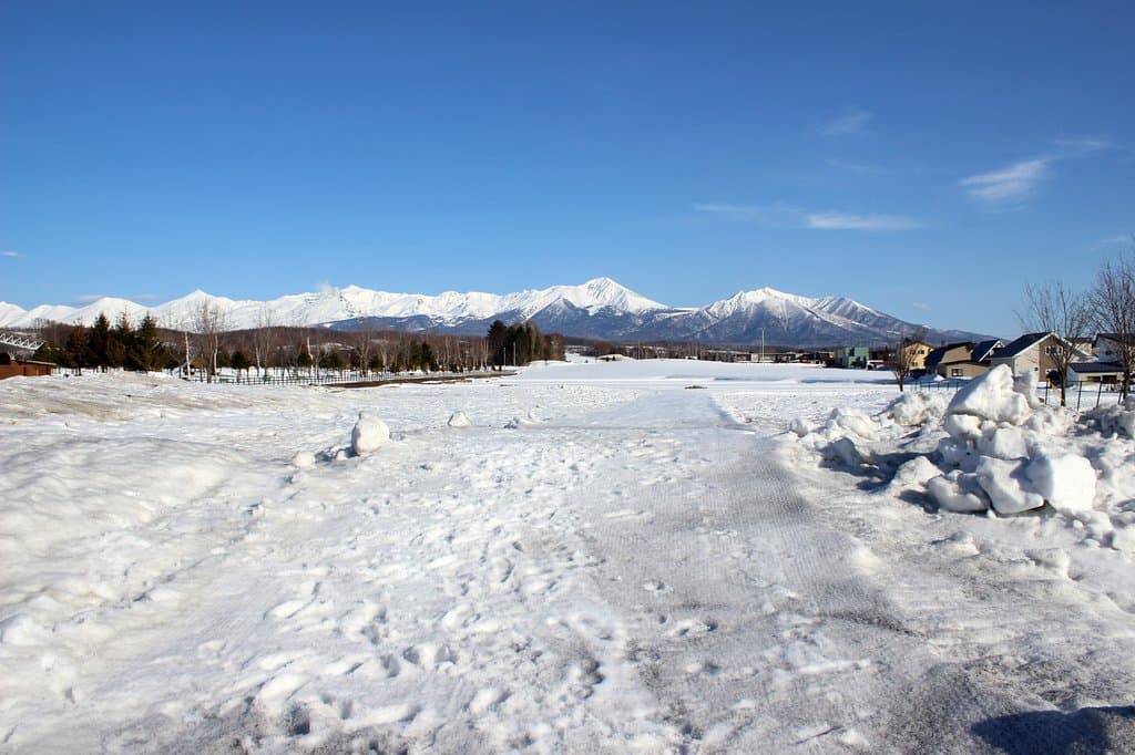 Panorama Road Side Views