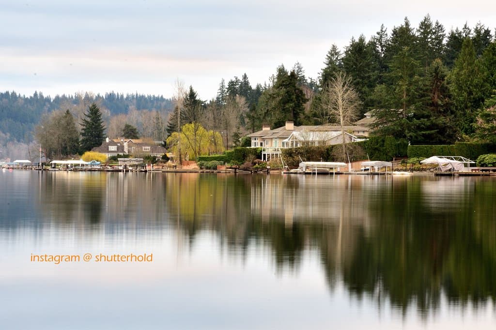 Spring Morning at Idylwood park