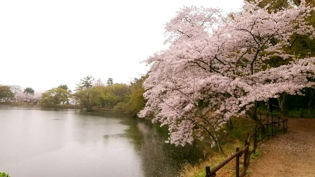Jinhae NFRDI Environment Eco Park