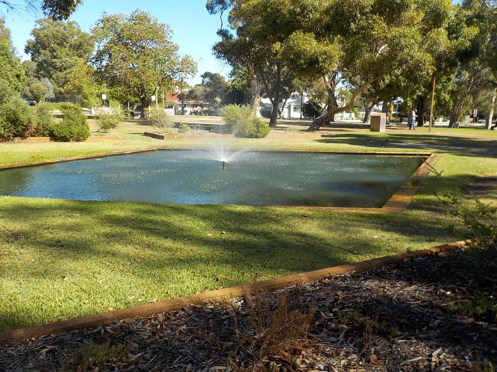 pond