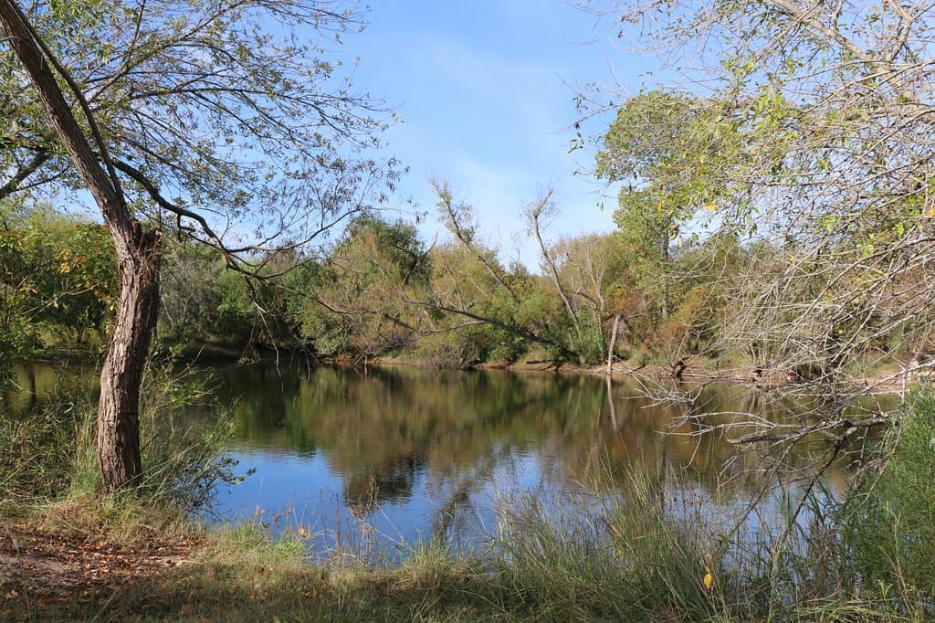 Pond Along the Greenway