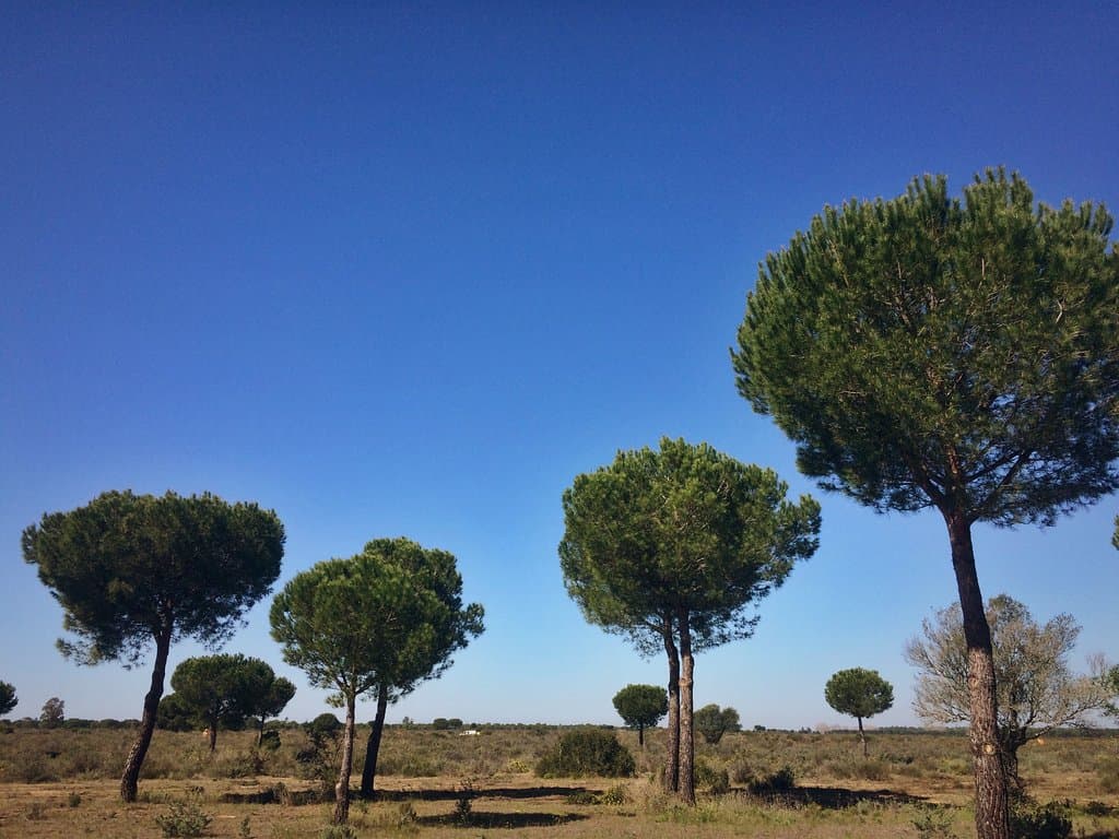 La Rocina Visitor Center