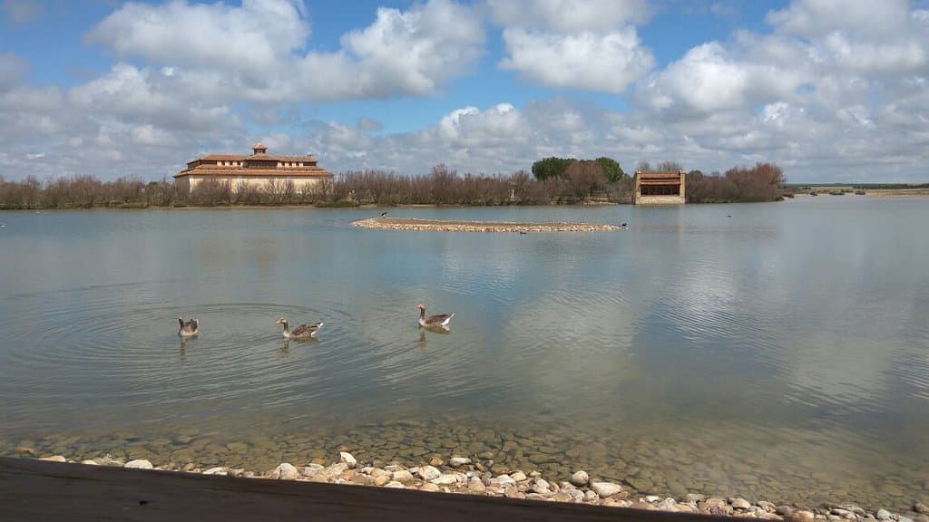 Lagunas de Villafáfila