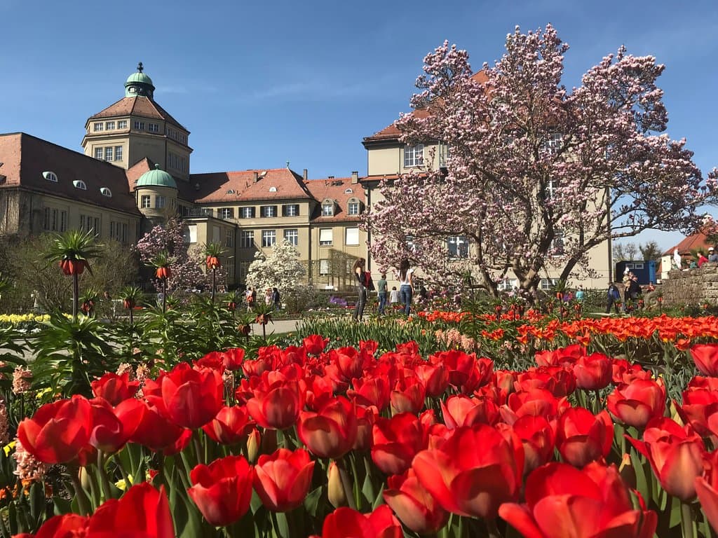 Botanischer Garten