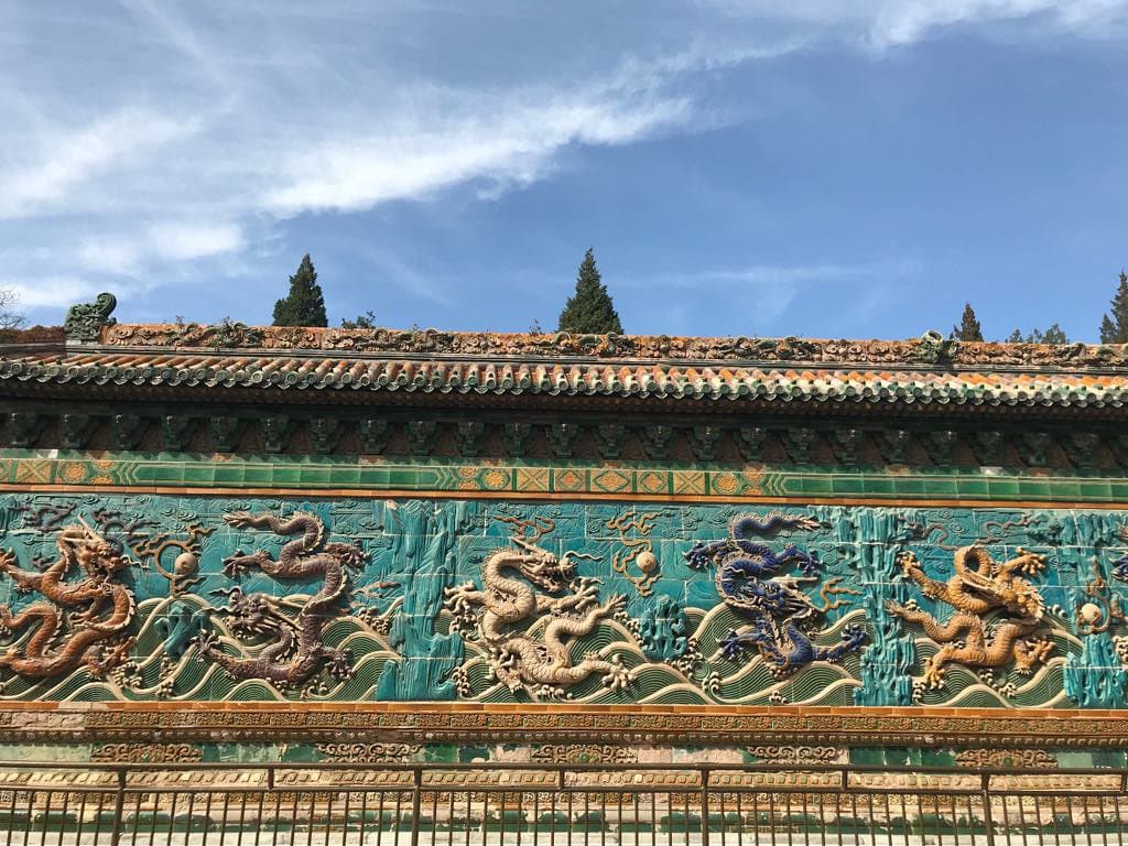 the dragons