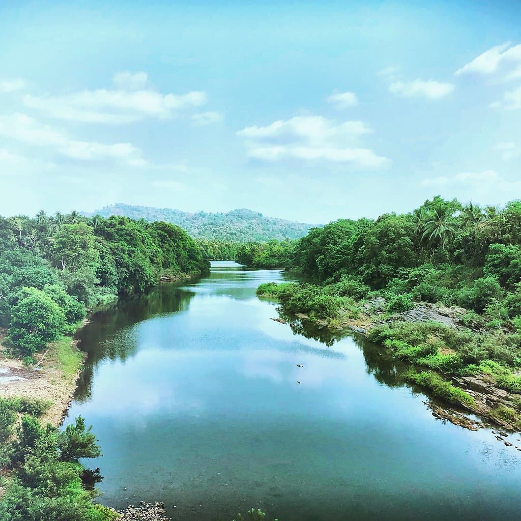 Mandovi River Cruise Panjim Goa