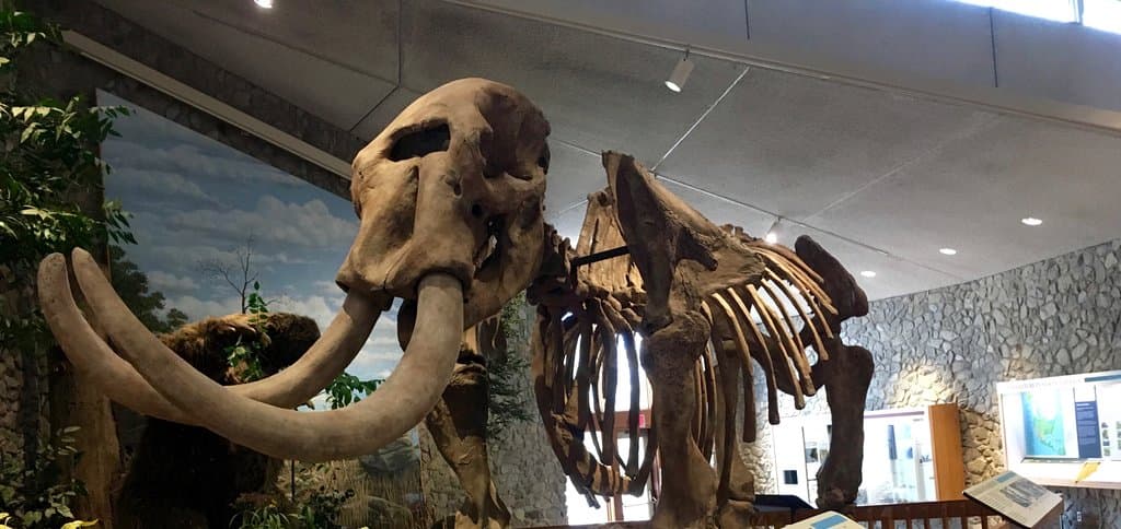 Mastodon State Historic Site
