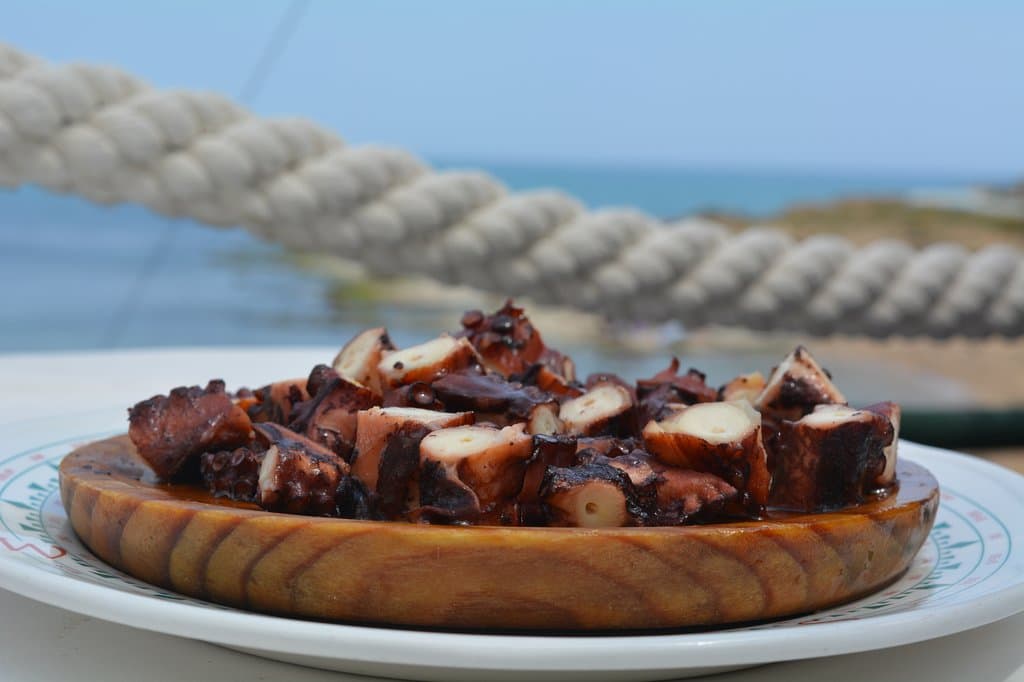 Nuestro pulpo
