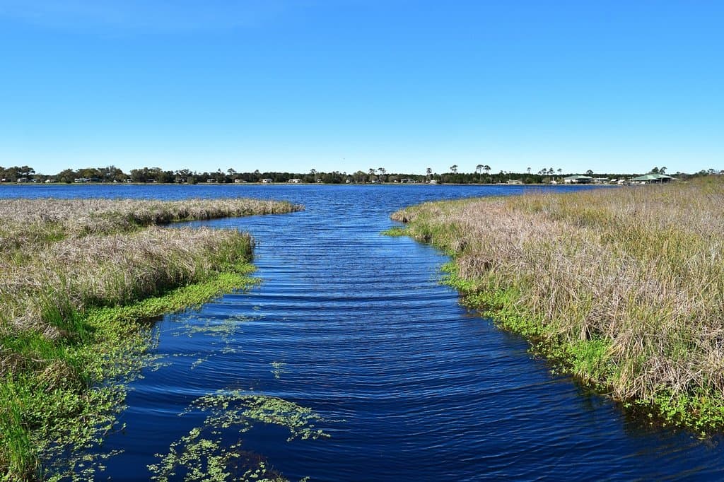 Middle Lake