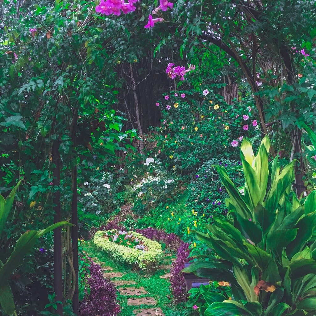 Terrazas de Flores Botanical Garden