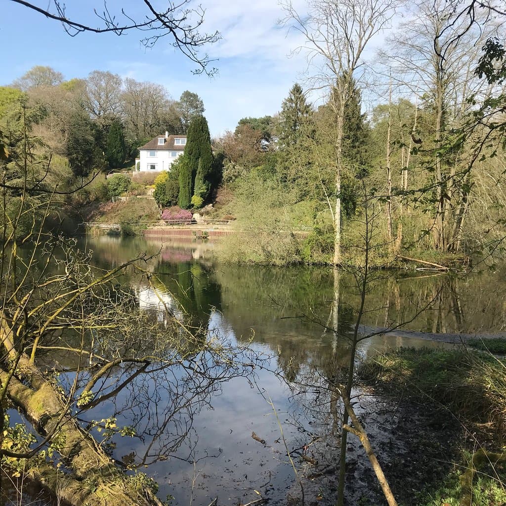 Drews Pond Wood Nature Reserve