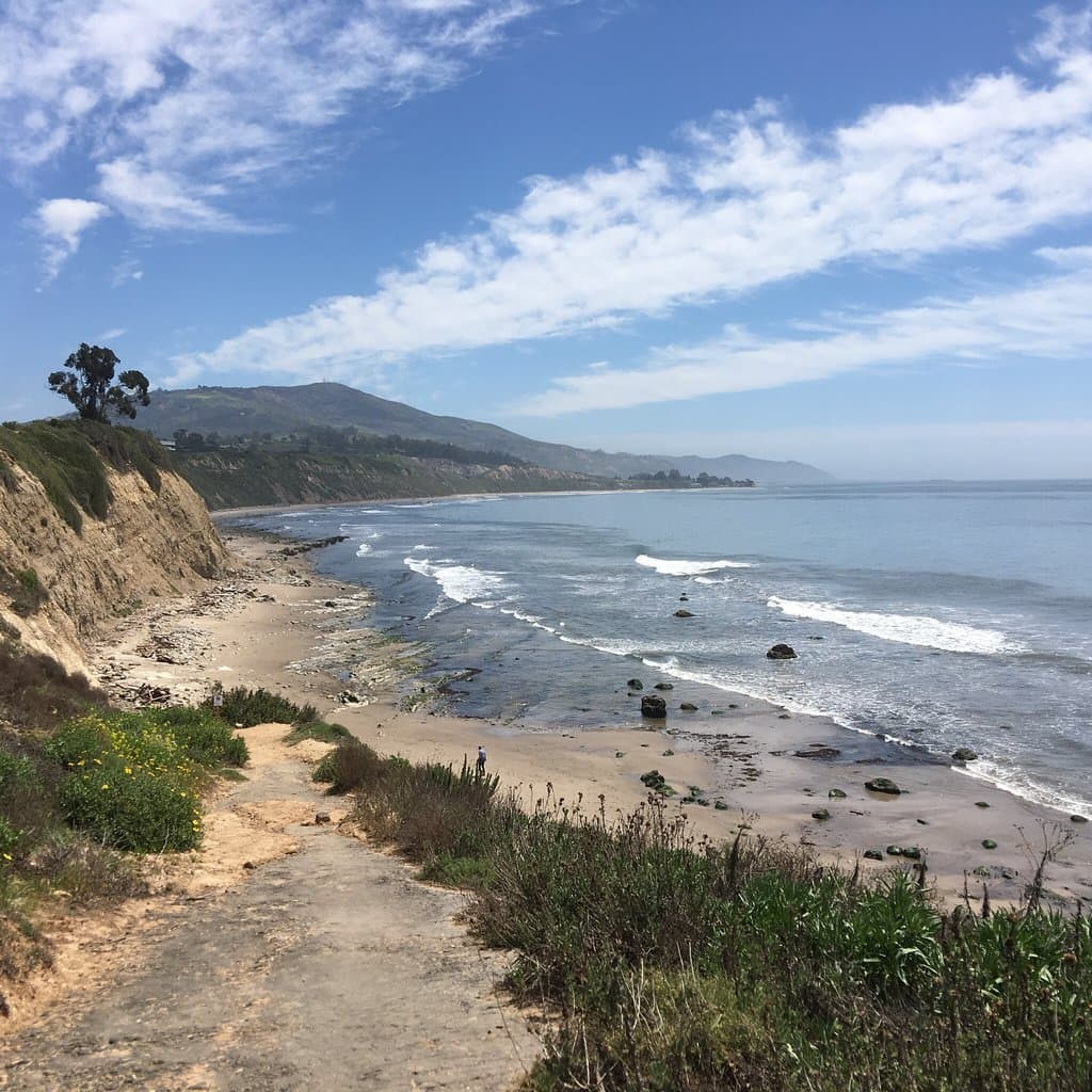 Carpinteria Harbor Seal Preserve and Rookery