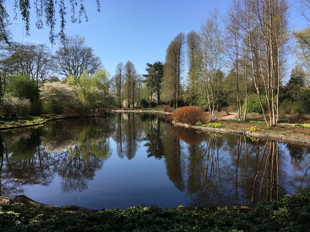 De Braak