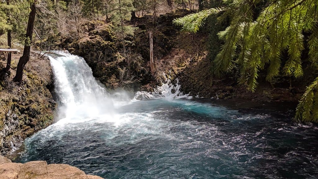 McKenzie River Trail Oregon