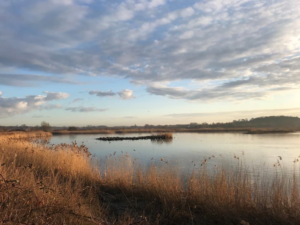 RSPB Middleton Lakes