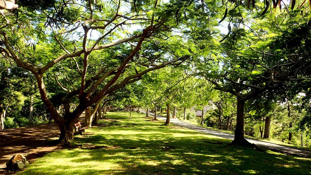 Beautiful gardens lots of shady trees