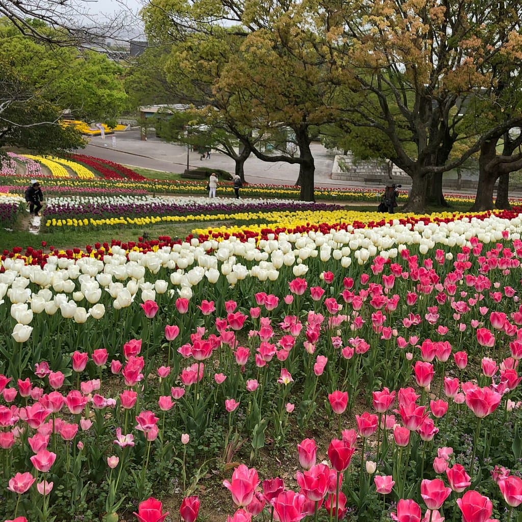 万博記念公園
