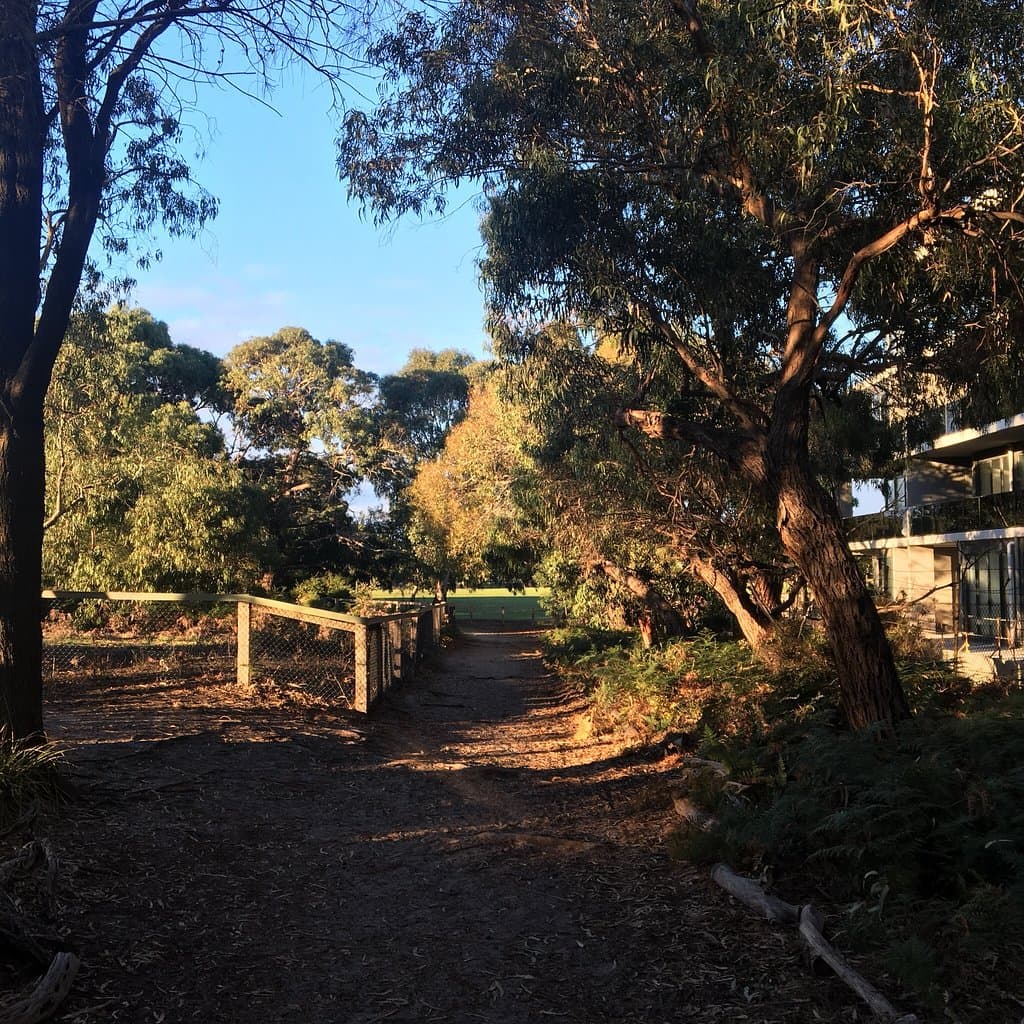 Bay Road Heathland Sanctuary