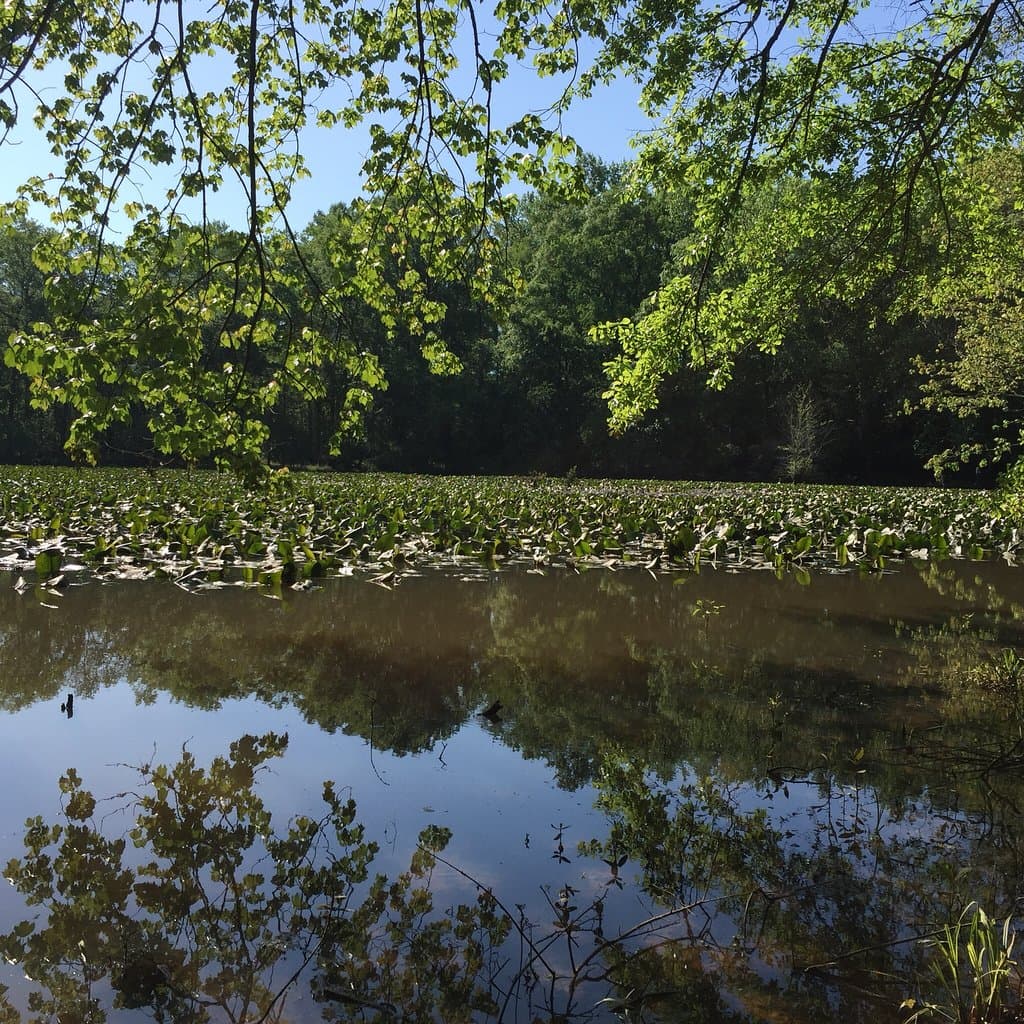 The Trails at Sandy Creek Nature Center