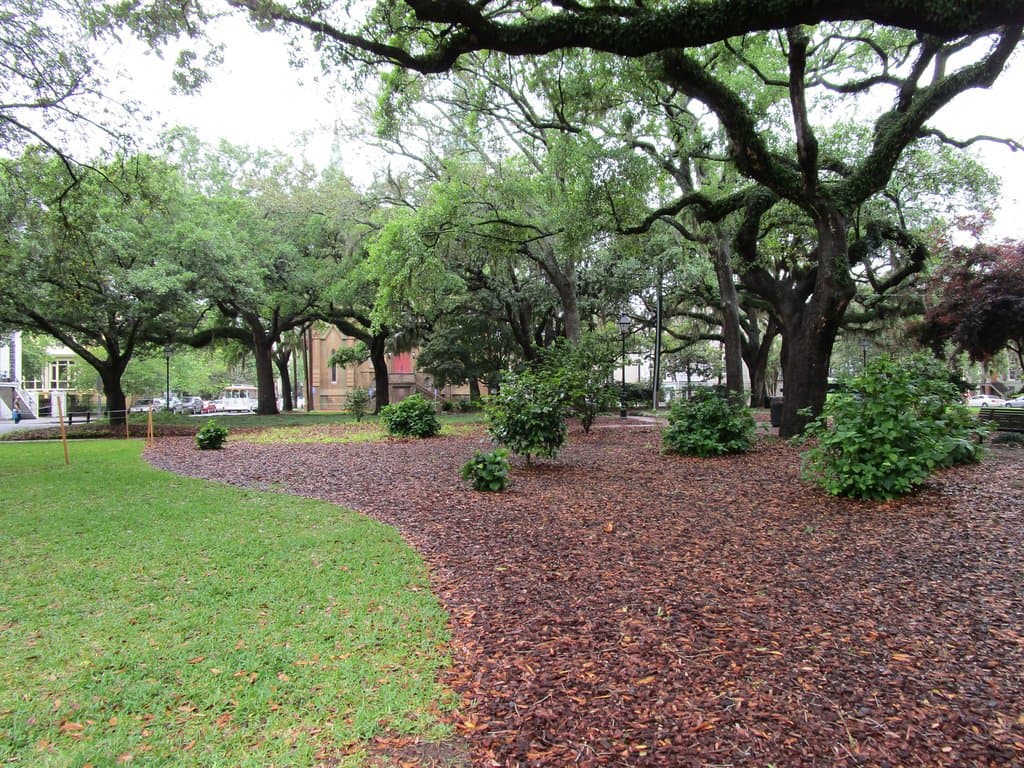 View of the park.