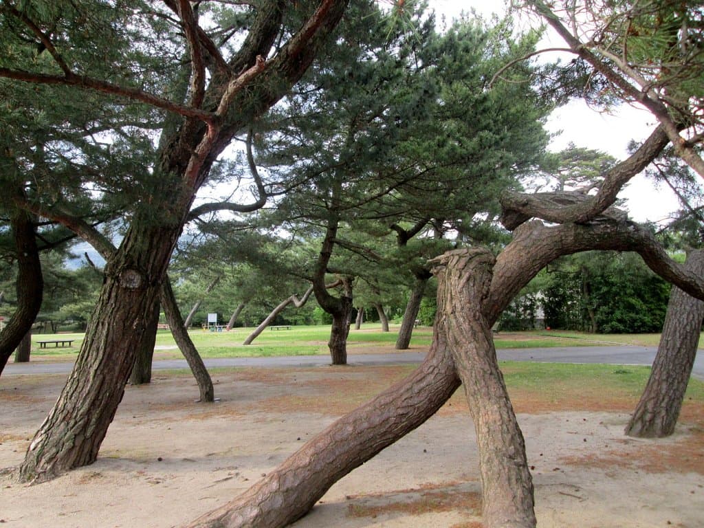 Lugares ótimos para leitura enquanto os filhos brincam