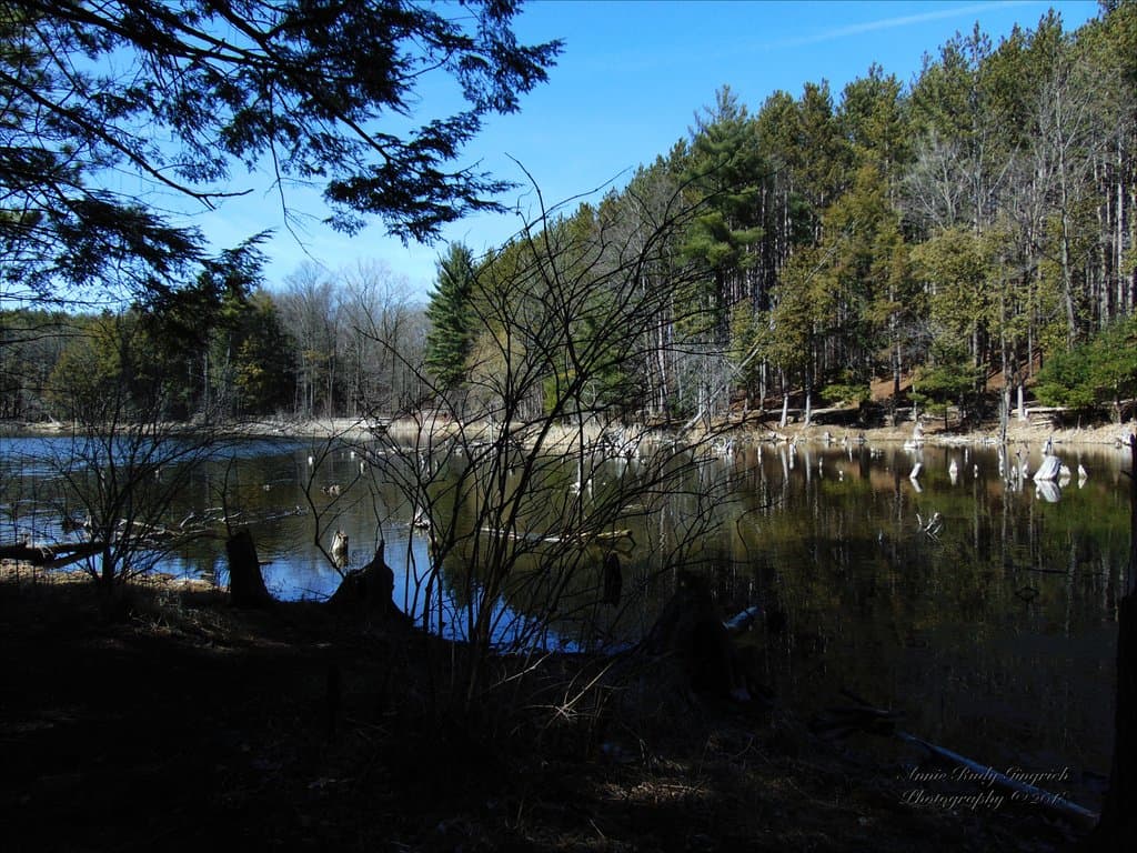 Huron Natural Area