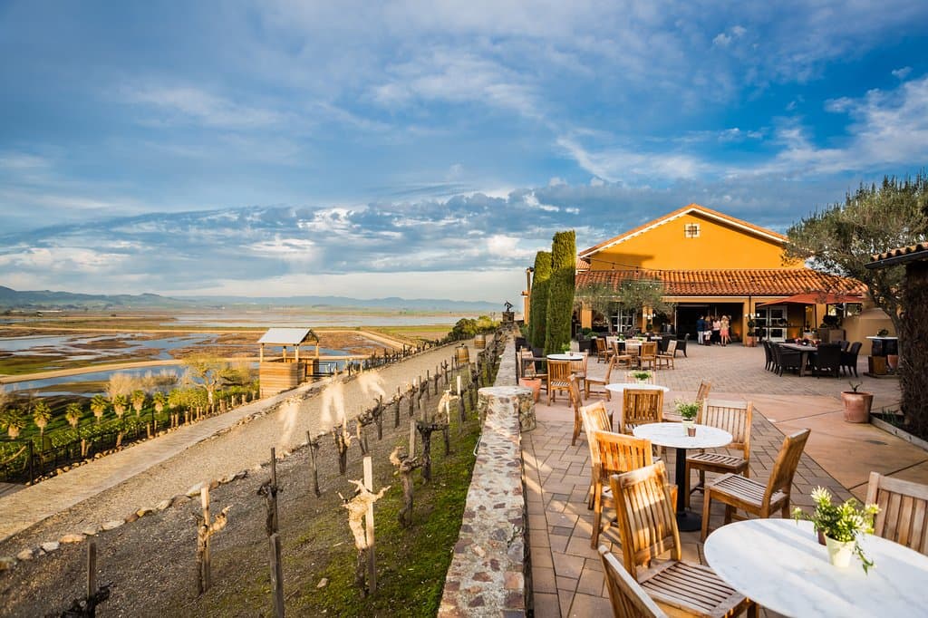 Sonoma Valley views on the Terrace