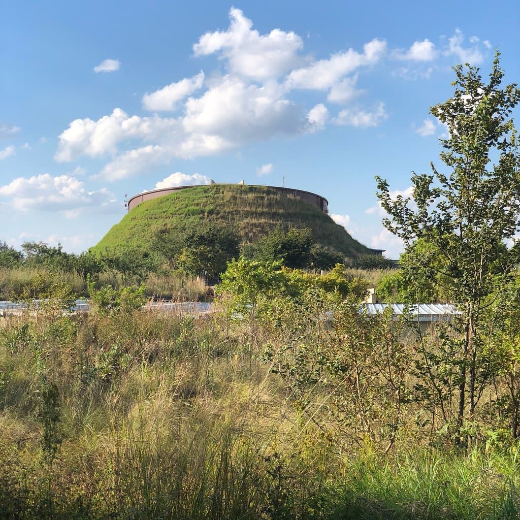 Hot Air Balloon Ride over the Cradle of Humankind