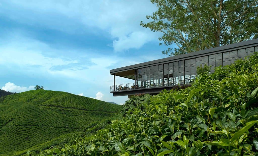 BOH's tea centre lets you enjoy breath-taking views of the tea gardens while sipping a cup of te