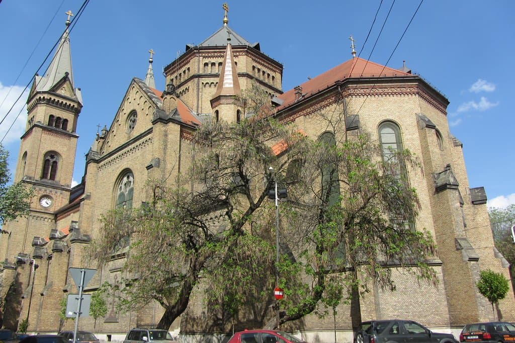 vista posteriore