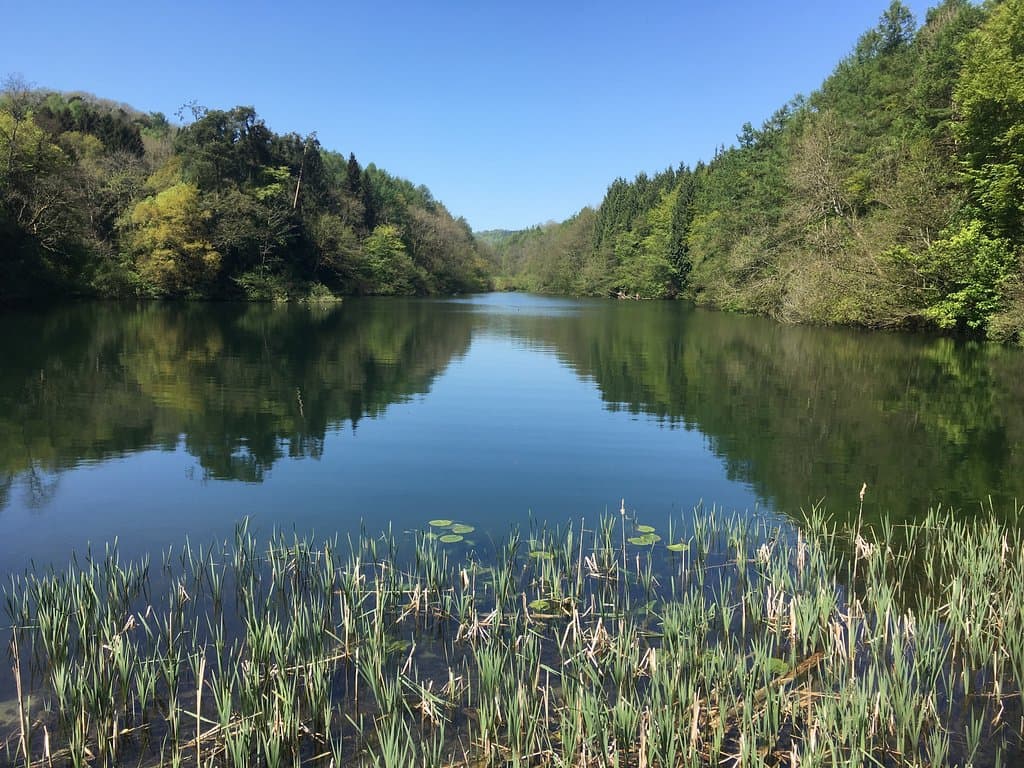 Woodchester Park