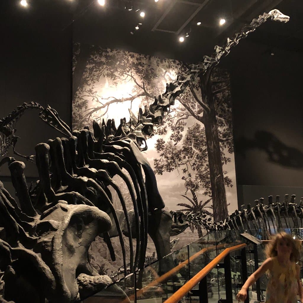 Natural History Museum of Utah