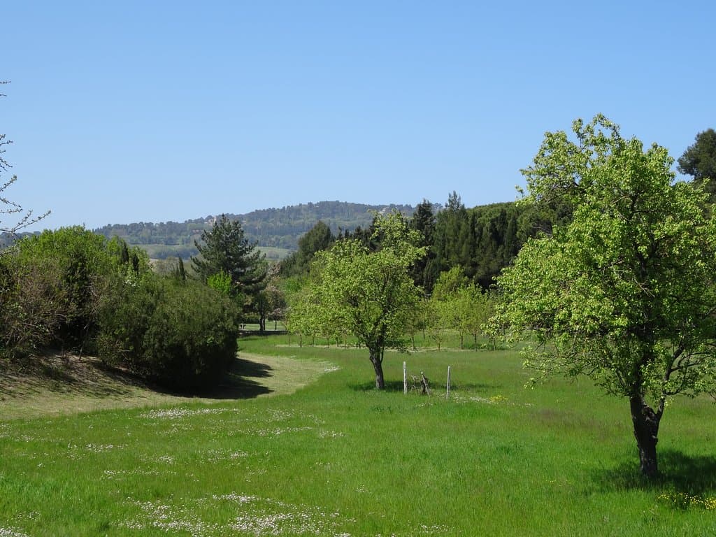 Parco Miralfiore Pesaro
