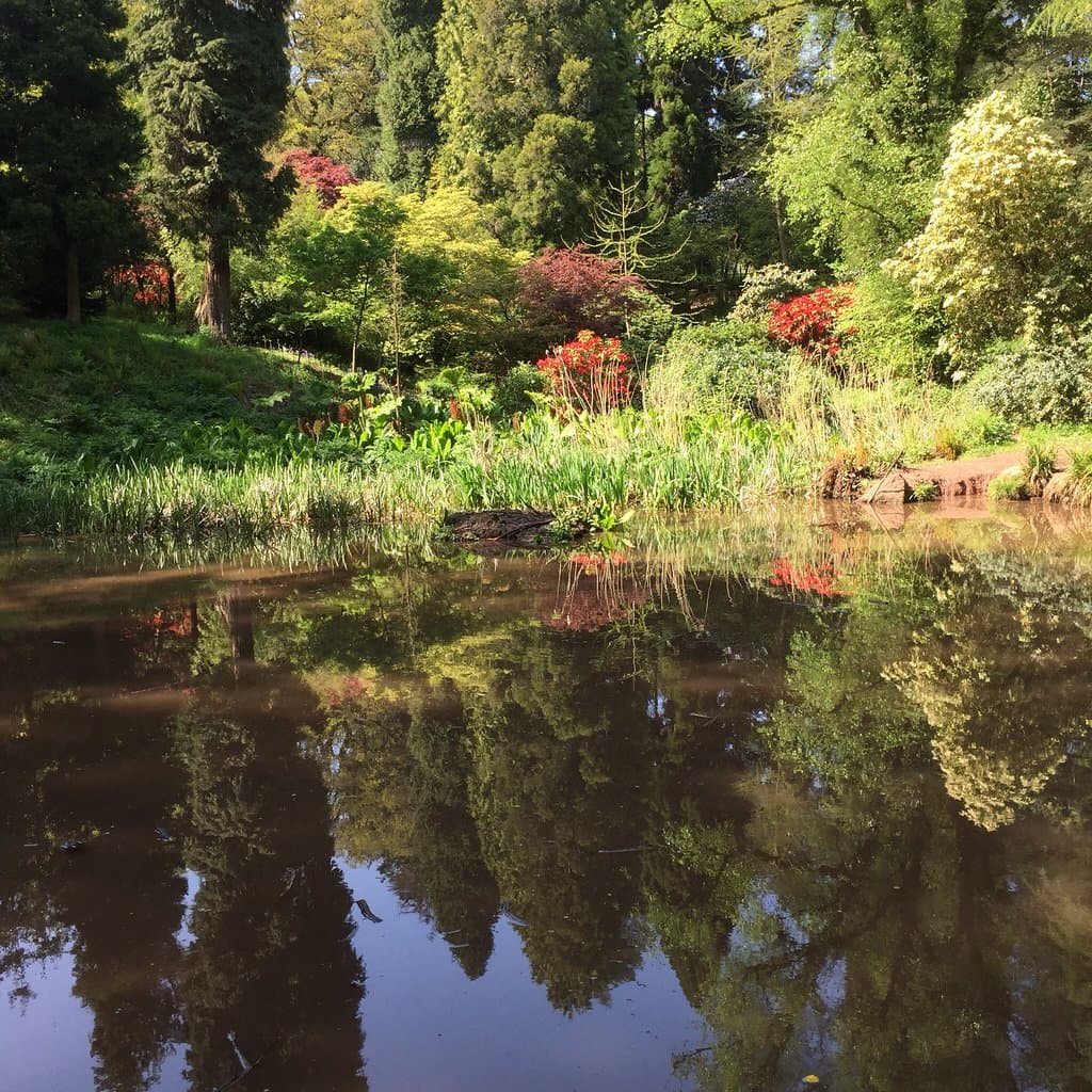 Parc Cefn Onn Cardiff