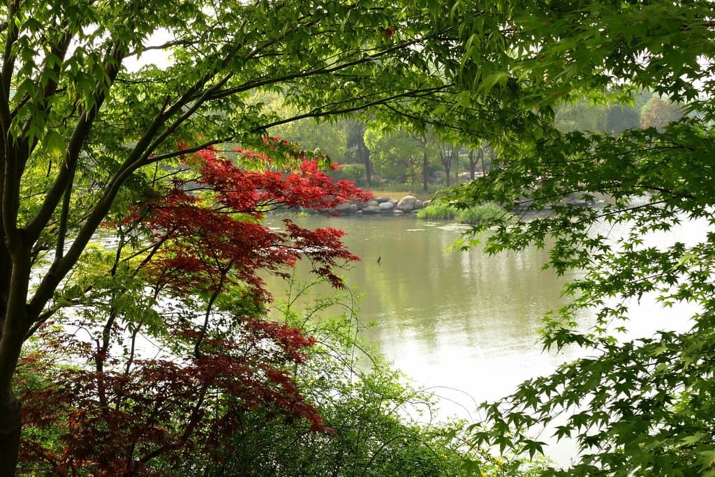 Chang Guang Xi National Wetland Park
