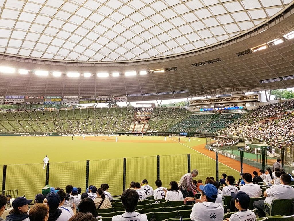 Belluna Dome