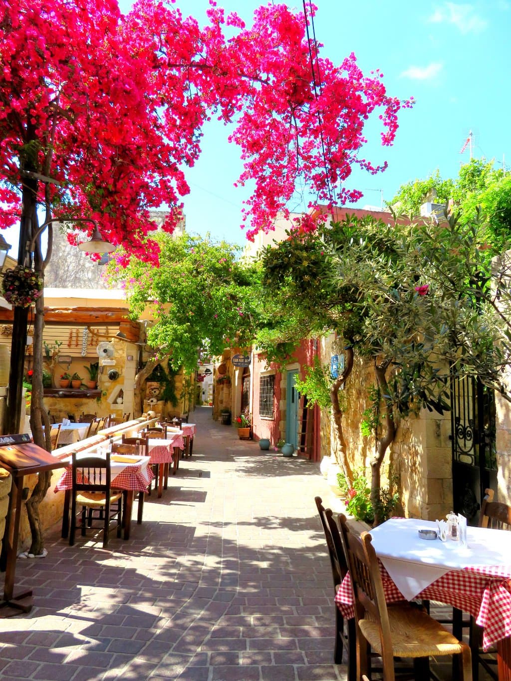 Sur la gauche, la terrasse