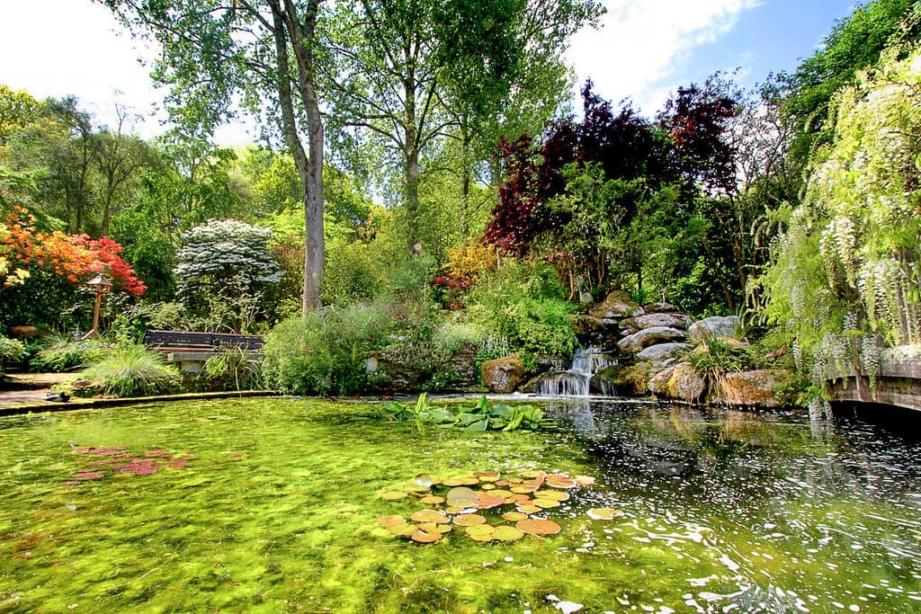 Garden in May.