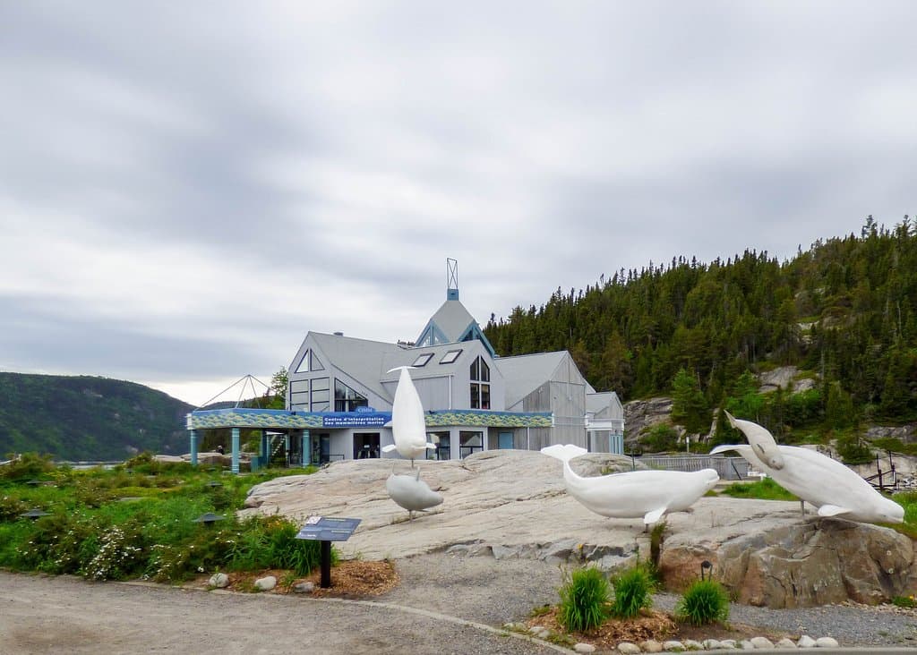 Centre d'interprétation des mammifères marins (CIMM)