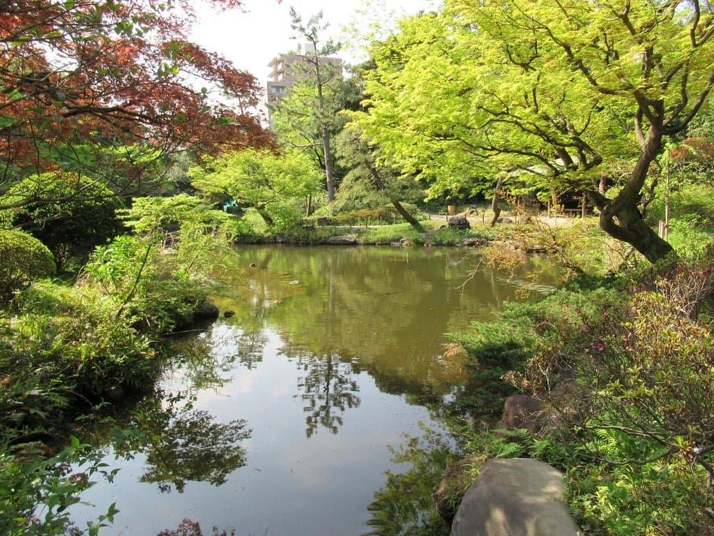 池周りの眺め