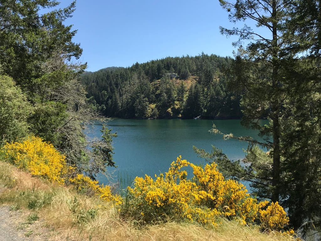 Matheson Lake
