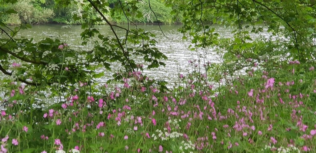 Stoke Park Woods