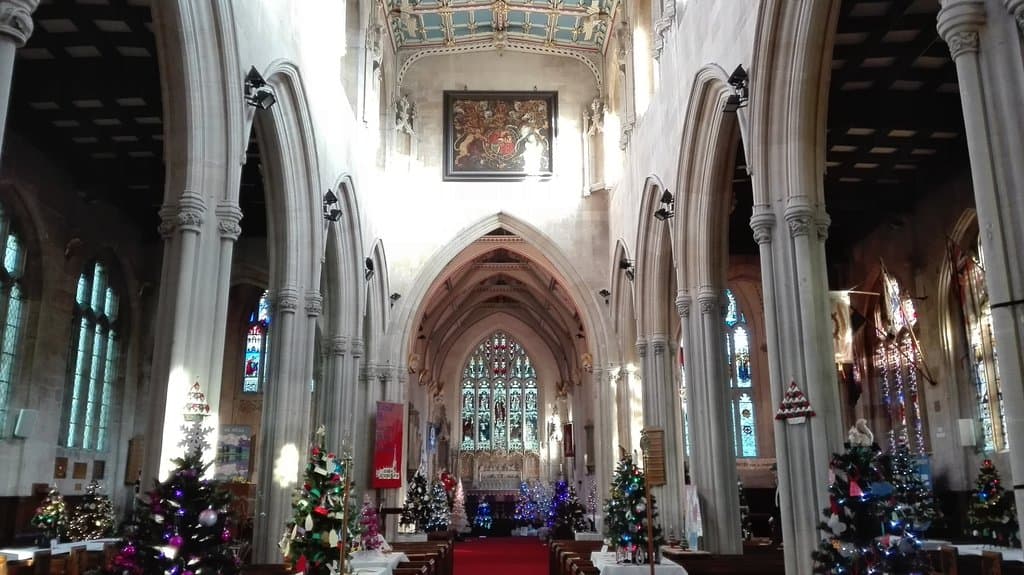 wystawa drzewek świątecznych