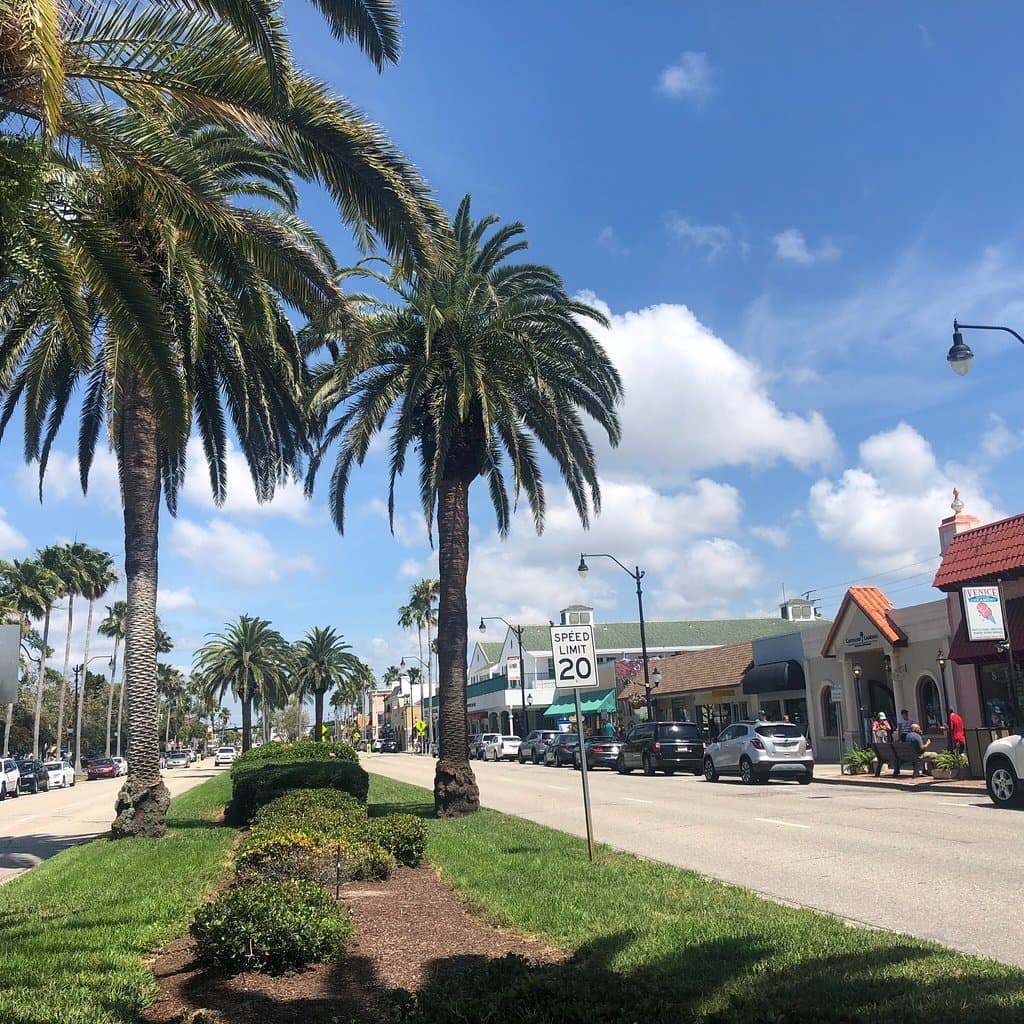 Historic Downtown Venice
