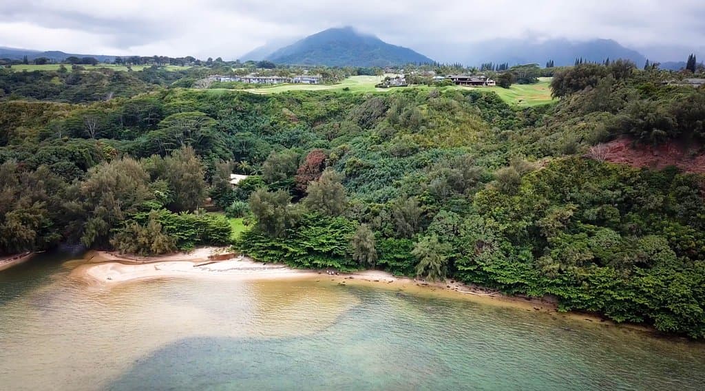 Wyllie's Beach