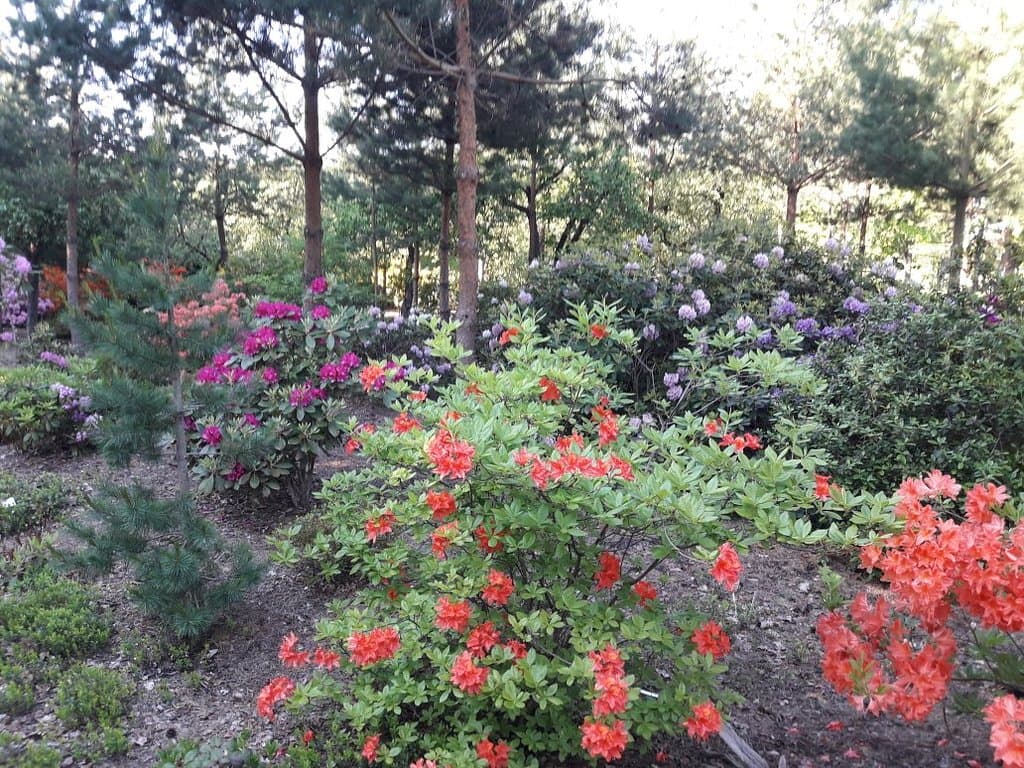 Botanical Garden of Siauliai University