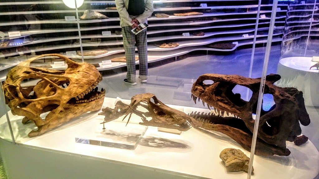 Sintra Natural History Museum