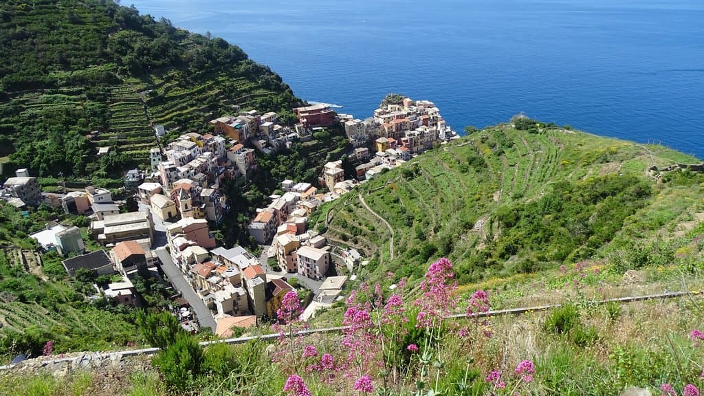 Mannarola